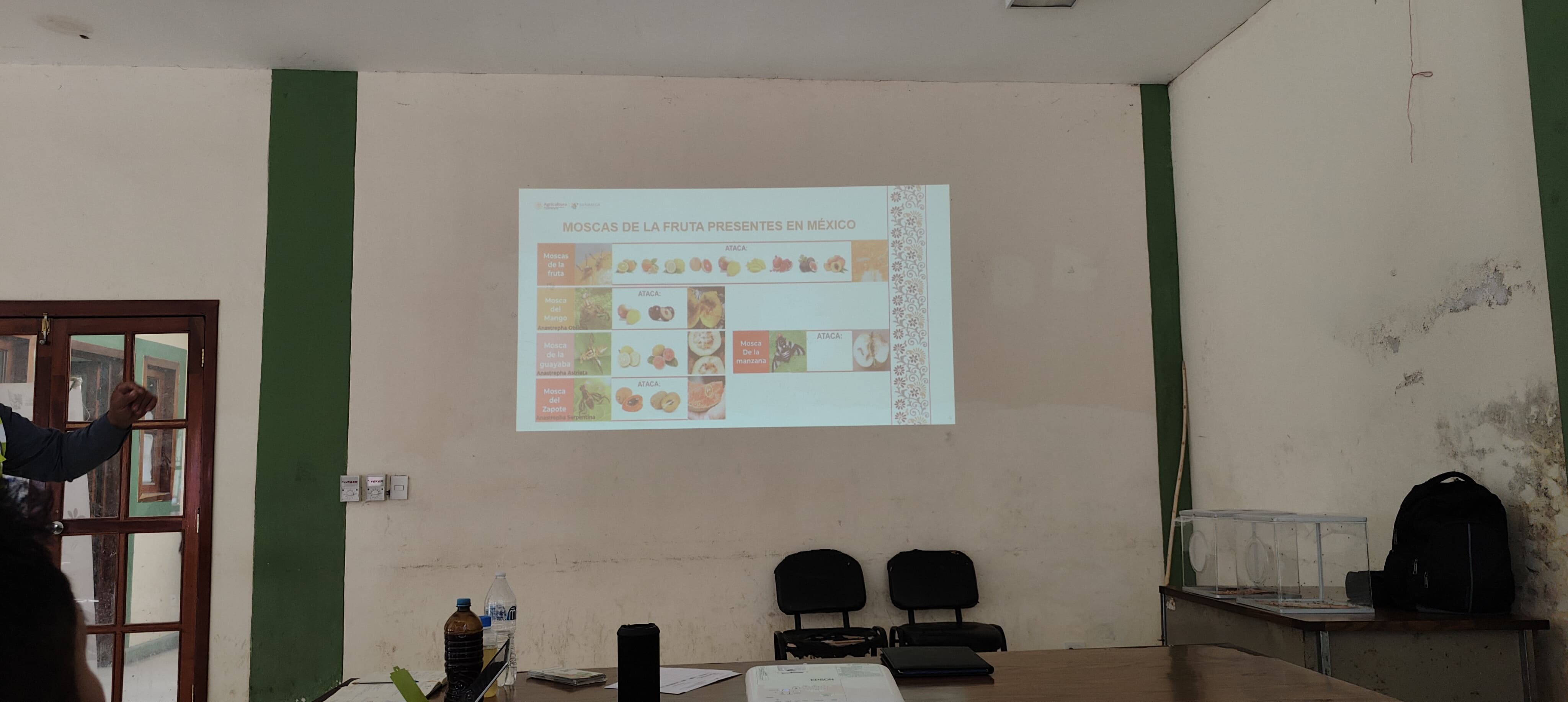 WhatsApp Image 2025 01 15 at 12.24.14 PM 1