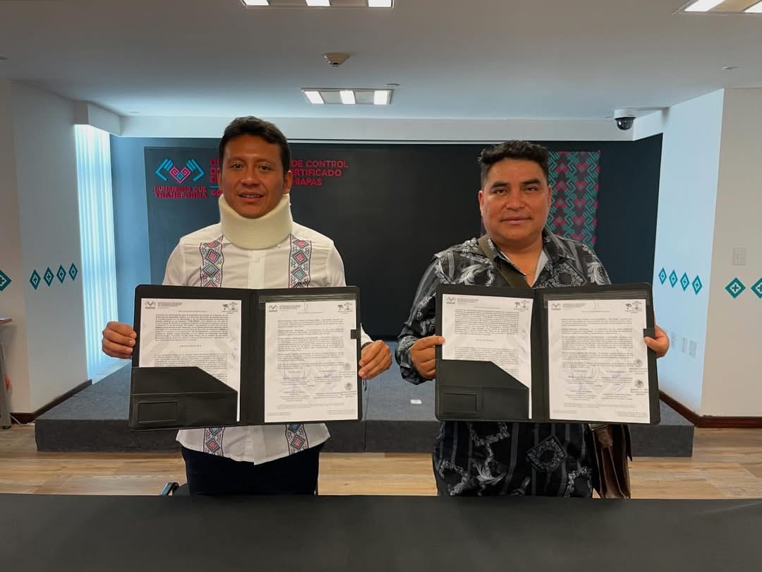 WhatsApp Image 2025 02 26 at 3.32.01 PM